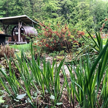 Schlummerfass An Der Bockmuehle Hohnstein Zewnętrze zdjęcie